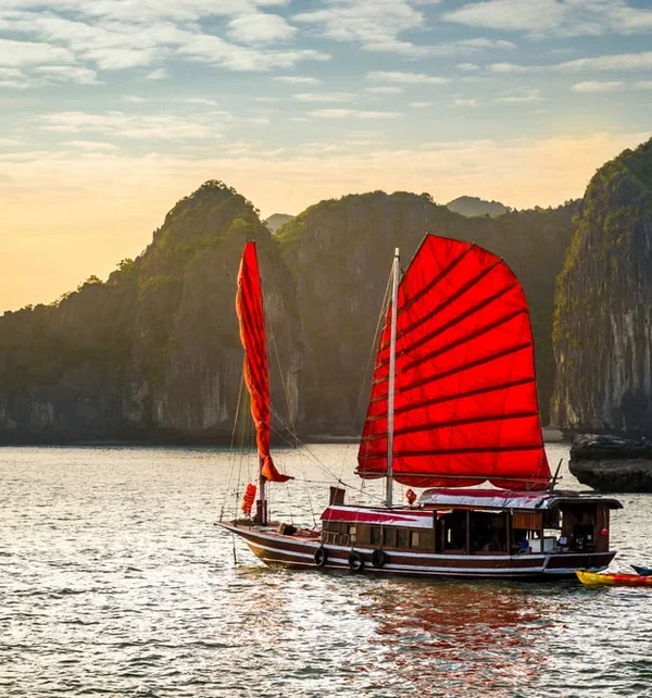 f359wi3vmt178ziwt861gbm41suy_halong junk